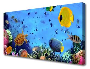 Obraz na plátne Koralový útes ryba príroda 100x50 cm