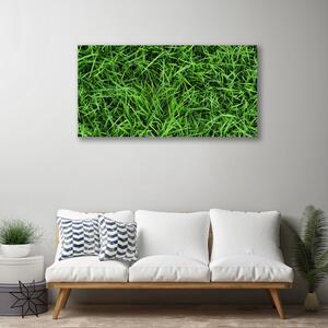 Obraz na plátne Tráva trávnik 100x50 cm