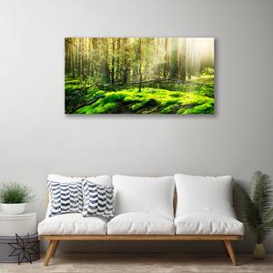 Obraz na plátne Mech les príroda 100x50 cm