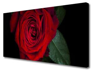 Obraz na plátne Ruže 125x50 cm