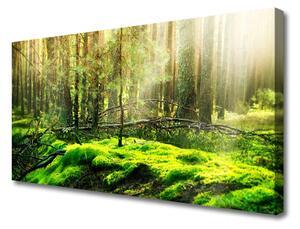 Obraz na plátne Mech les príroda 125x50cm