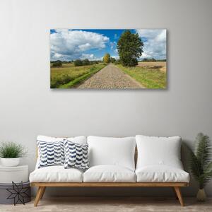 Obraz na plátne Dedina cesta dlažba krajina 100x50 cm