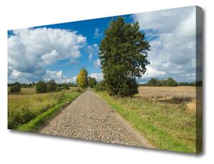 Obraz na plátne Dedina cesta dlažba krajina 125x50 cm