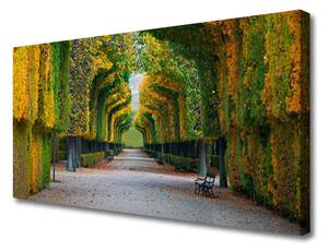Obraz na plátne Park jeseň záhrada príroda 100x50 cm