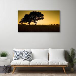 Obraz na plátne Stromy príroda rastlina 100x50 cm
