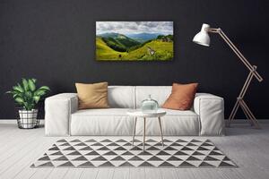 Obraz na plátne Hora lúka krajina 100x50 cm