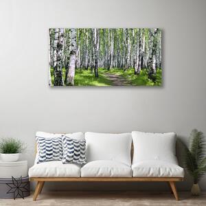 Obraz na plátne Les chodník príroda 100x50 cm