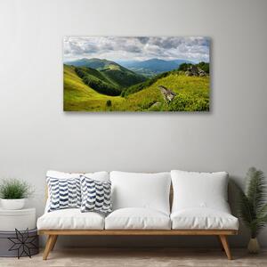 Obraz na plátne Hora lúka krajina 100x50 cm