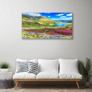 Obraz na plátne Hora záliv lúka príroda 100x50 cm