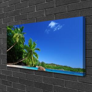 Obraz Canvas Palma stromy pláž krajina 100x50 cm