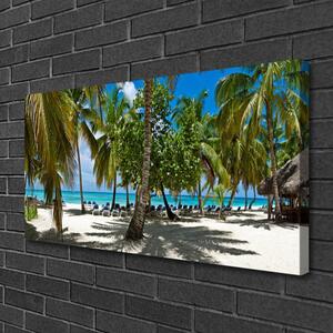 Obraz Canvas Pláž palma stromy príroda 100x50 cm