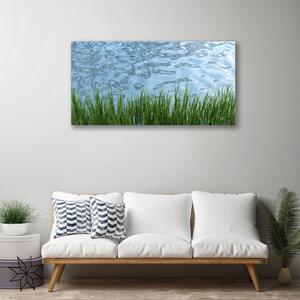 Obraz Canvas Tráva voda príroda 100x50 cm