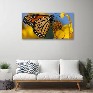 Obraz Canvas Motýľ kvet príroda 100x50 cm