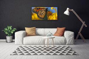 Obraz Canvas Motýľ kvet príroda 100x50 cm