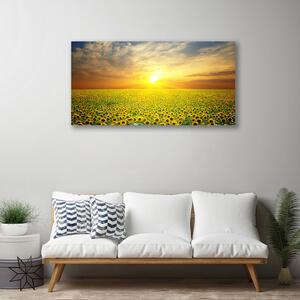 Obraz Canvas Slnko lúka slnečnica 100x50 cm