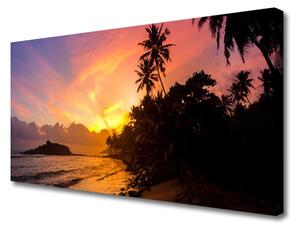 Obraz Canvas More slnko palmy krajina 125x50 cm