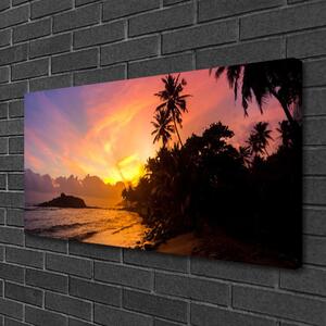 Obraz Canvas More slnko palmy krajina 100x50 cm