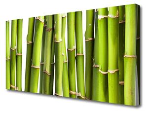 Obraz Canvas Bambus rastlina príroda 100x50 cm