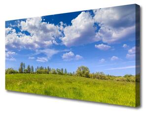 Obraz Canvas Lúka tráva nebo krajina 100x50 cm