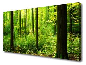 Obraz Canvas Les zeleň stromy príroda 125x50 cm