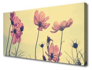 Obraz Canvas Kvety rastlina príroda 125x50cm