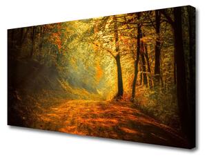 Obraz Canvas Les cestička stromy príroda 100x50 cm