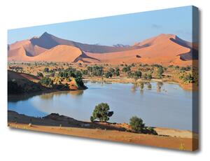 Obraz Canvas Jazero púšť krajina 125x50 cm