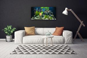 Obraz Canvas Ryba kamene listy príroda 100x50 cm