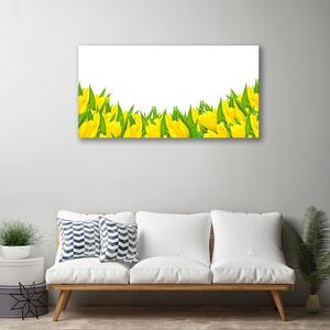 Obraz Canvas Kvety príroda tulipány 100x50 cm
