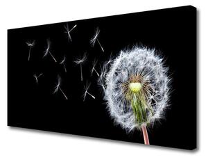 Obraz Canvas Púpavy kvety príroda 125x50cm
