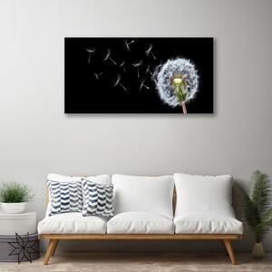 Obraz Canvas Púpavy kvety príroda 100x50 cm