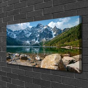 Obraz Canvas Hory les jazero kamene 100x50 cm