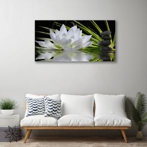 Obraz Canvas Kvety kamene zen voda 100x50 cm
