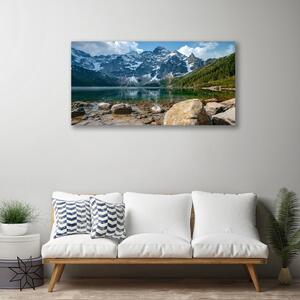 Obraz Canvas Hory les jazero kamene 100x50 cm