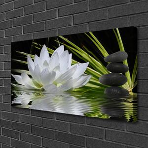Obraz Canvas Kvety kamene zen voda 100x50 cm