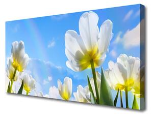 Obraz Canvas Rastliny kvety tulipány 100x50 cm