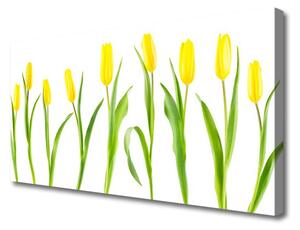 Obraz Canvas Žlté tulipány kvety 125x50cm