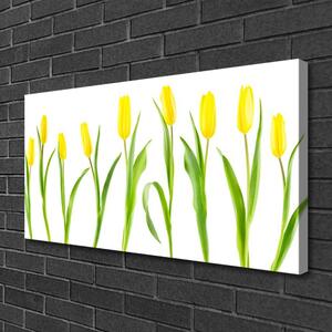 Obraz Canvas Žlté tulipány kvety 100x50 cm