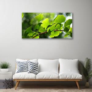 Obraz Canvas Vetvy listy príroda strom 100x50 cm