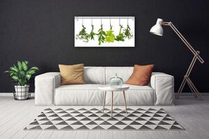 Obraz Canvas Listy príroda byliny 100x50 cm