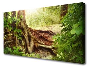 Obraz Canvas Strom kmeň príroda les 100x50 cm