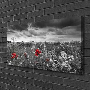 Obraz Canvas Lúka kvety príroda 100x50 cm