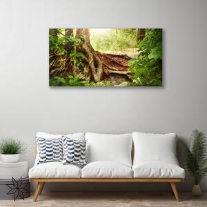 Obraz Canvas Strom kmeň príroda les 100x50 cm