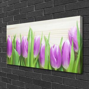 Obraz Canvas Tulipány kvety príroda 100x50 cm