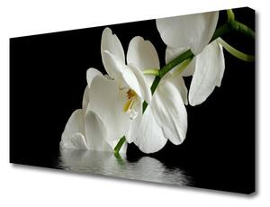 Obraz Canvas Orchidea vo vode kvety 125x50 cm