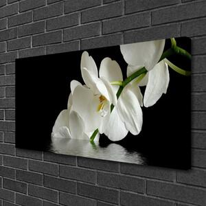 Obraz Canvas Orchidea vo vode kvety 100x50 cm