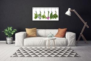 Obraz Canvas Sušené byliny listy kvety 100x50 cm