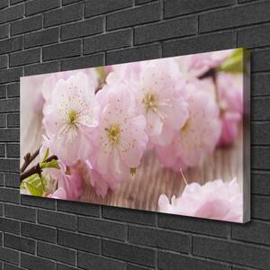 Obraz Canvas Vetvy kvety plátky príroda 100x50 cm