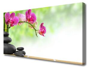 Obraz Canvas Bambusové výhonky kamene zen kúpele 125x50 cm