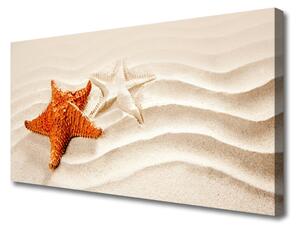 Obraz Canvas Hviezdice na piesku pláž 100x50 cm
